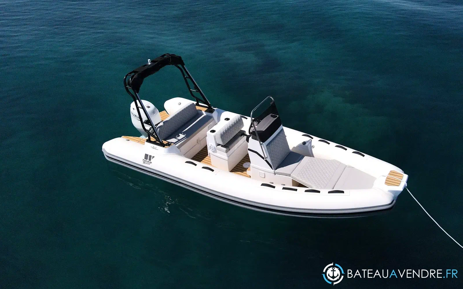 slider 1 Tiger Marine Pro Line 550