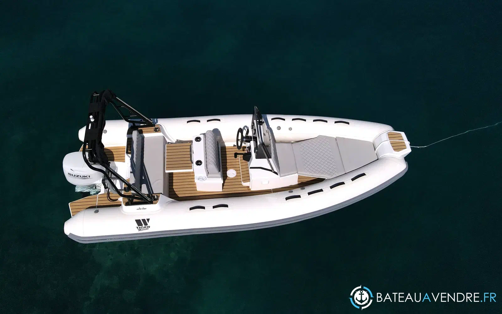slider 2 Tiger Marine Pro Line 550