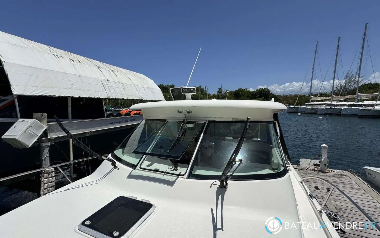 slider 5 Pursuit OS 375 Offshore