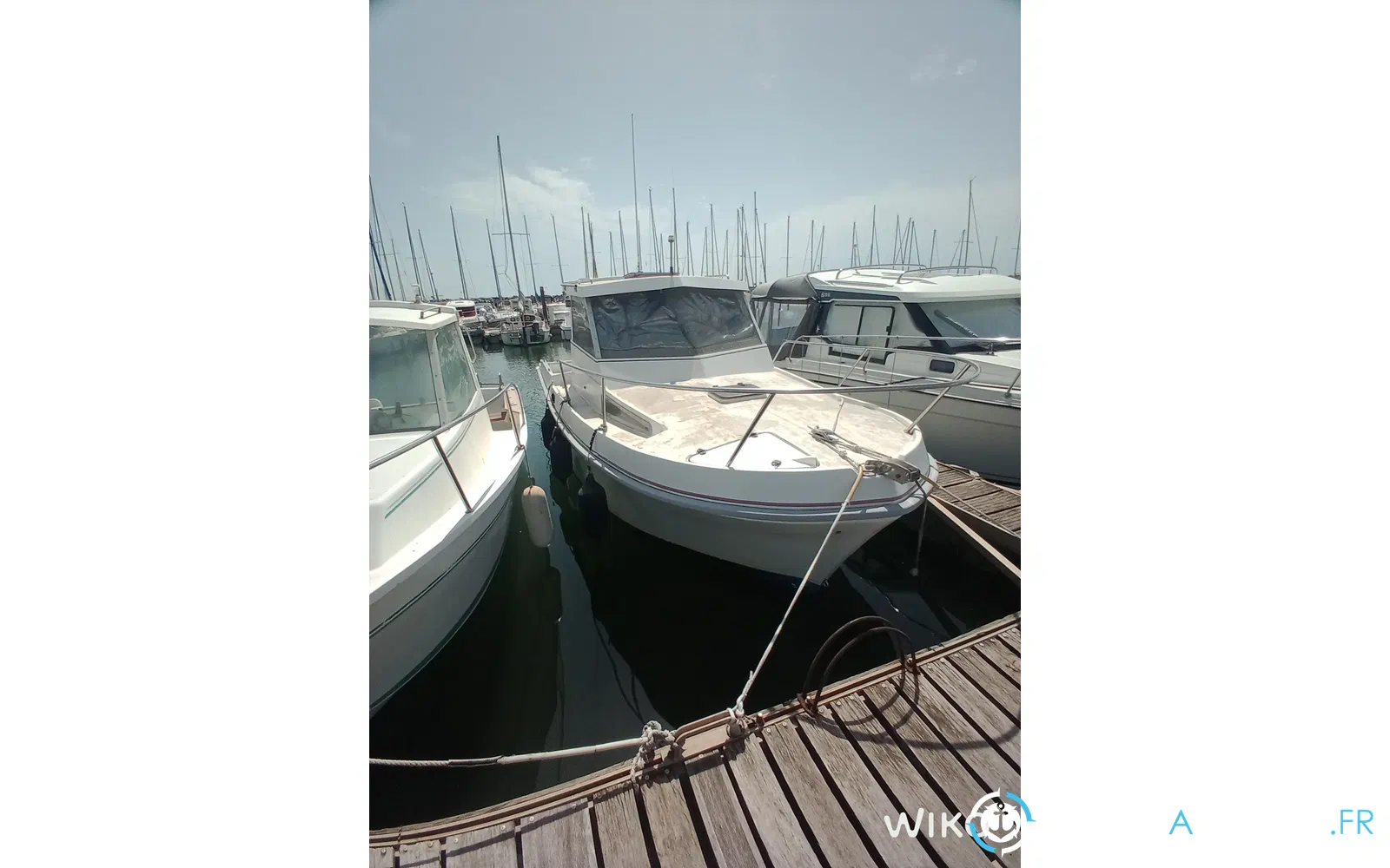 slider 6 Eider Marine Sea Rover 640