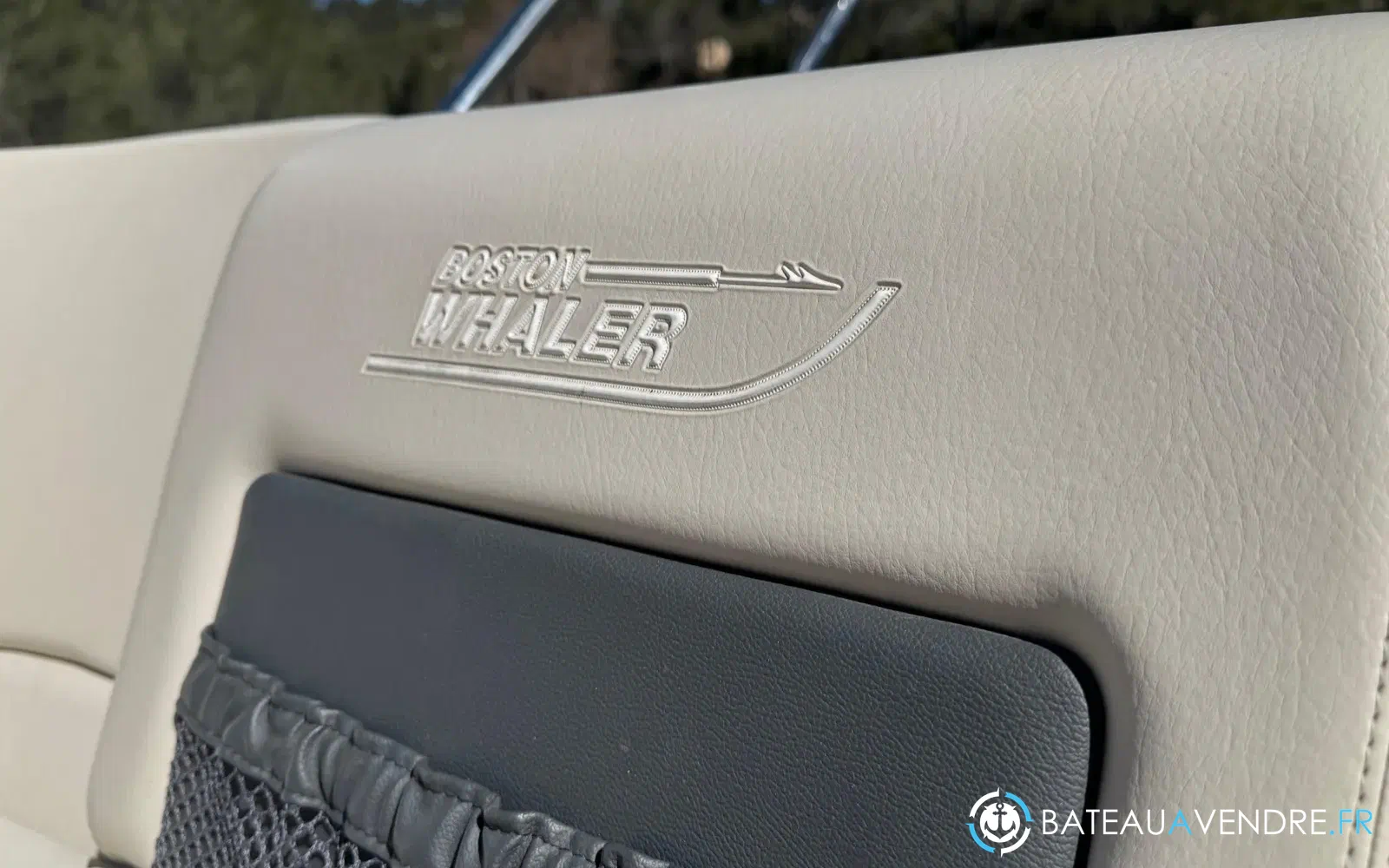 slider 16 Boston Whaler 270 Vantage