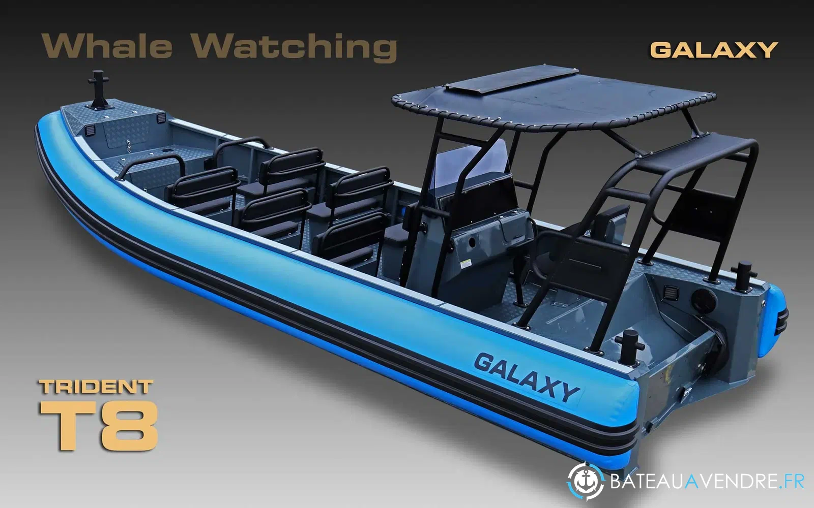 slider 6 Galaxy Trident T8