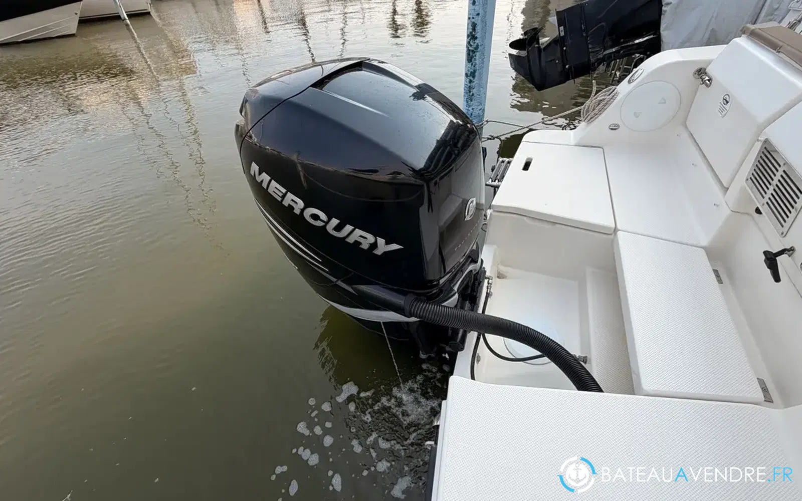 slider 39 Quicksilver Activ 755 Sundeck
