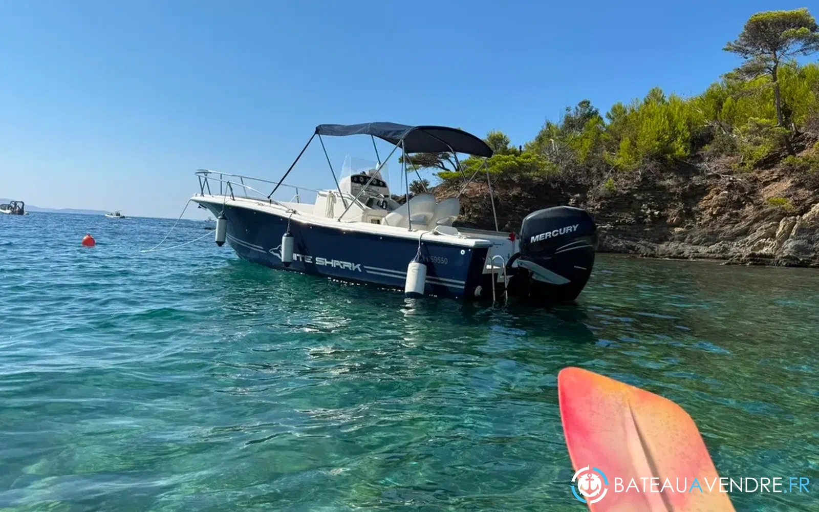 slider 1 Kelt White Shark 225