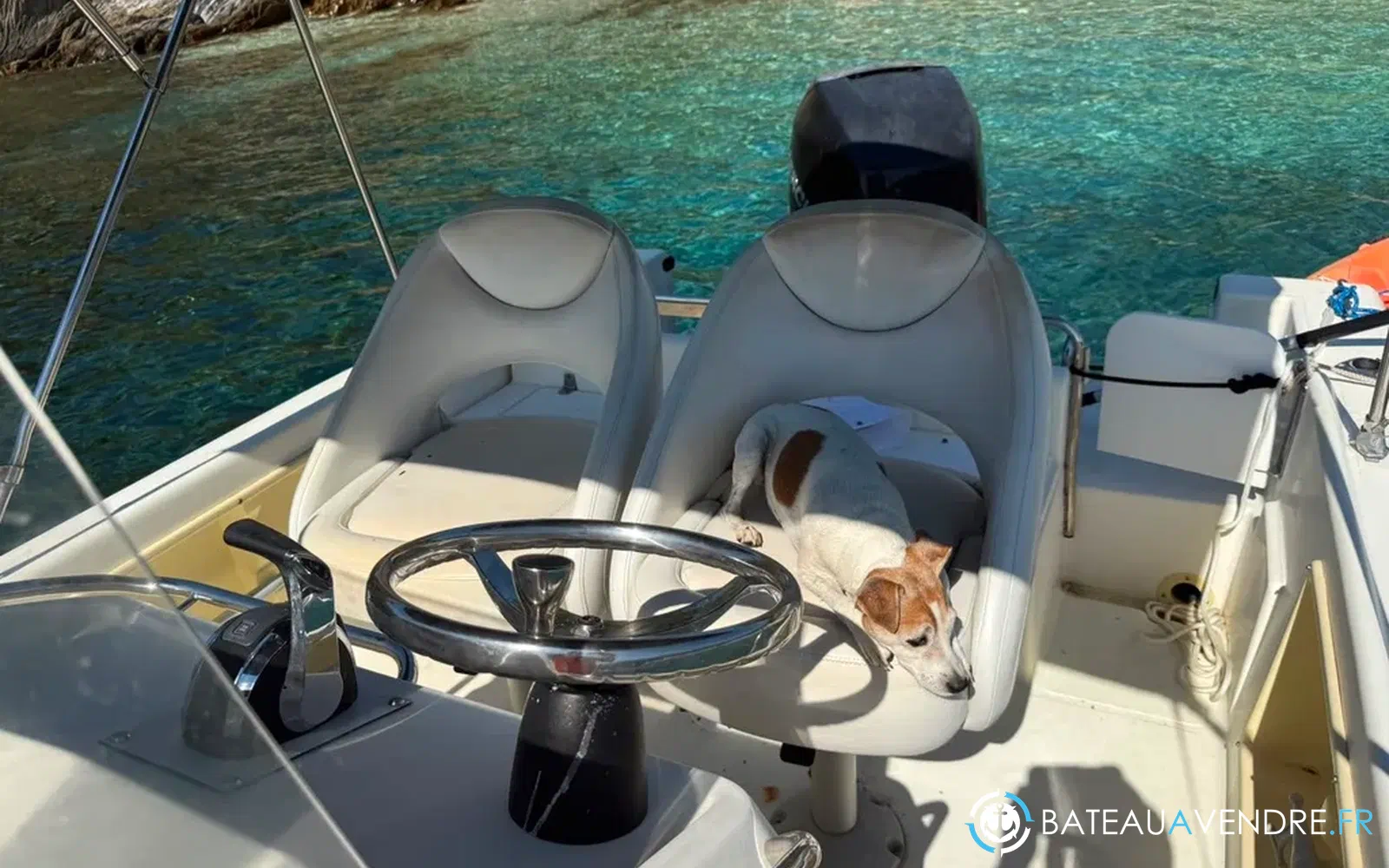 slider 5 Kelt White Shark 225