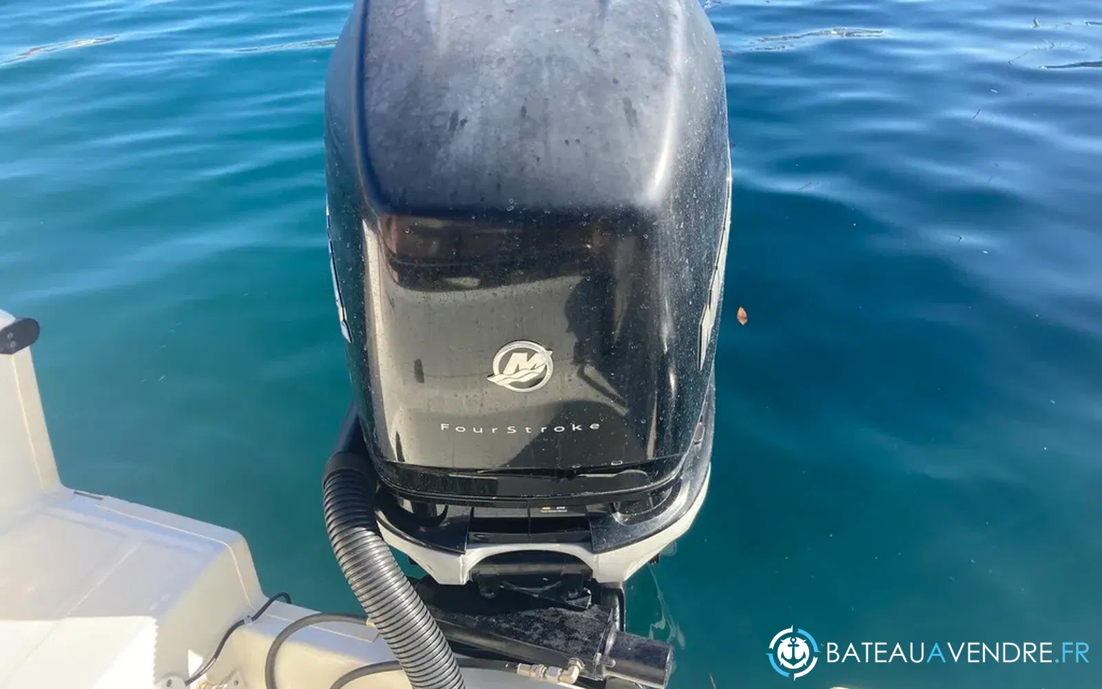 slider 7 Kelt White Shark 225