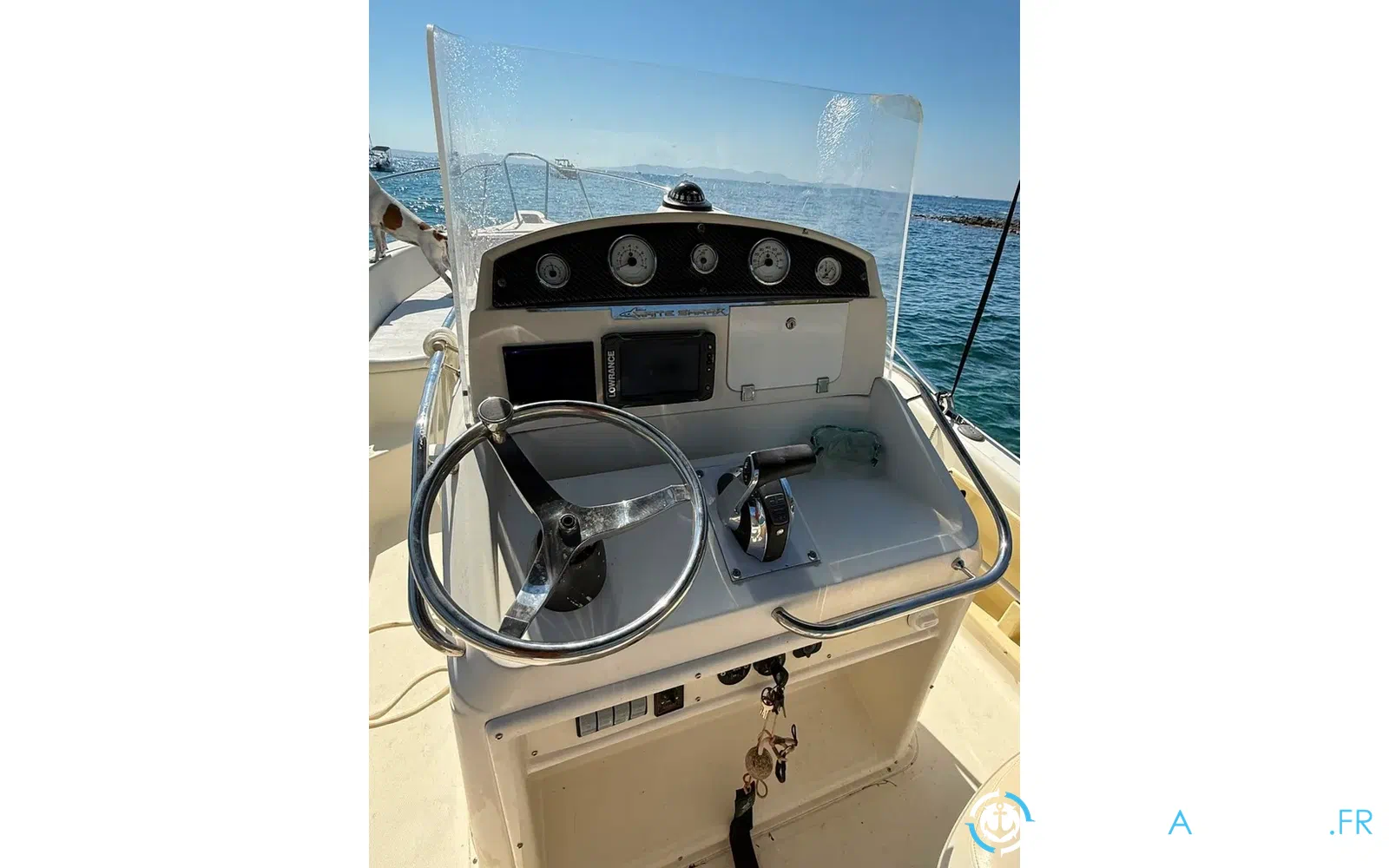 slider 6 Kelt White Shark 225