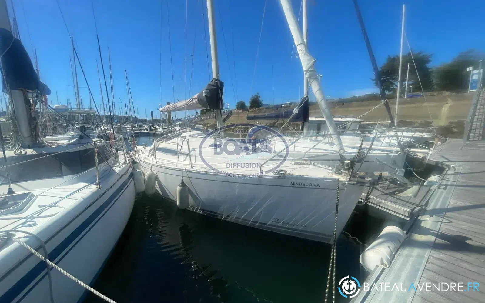 slider 14 Delphia 29
