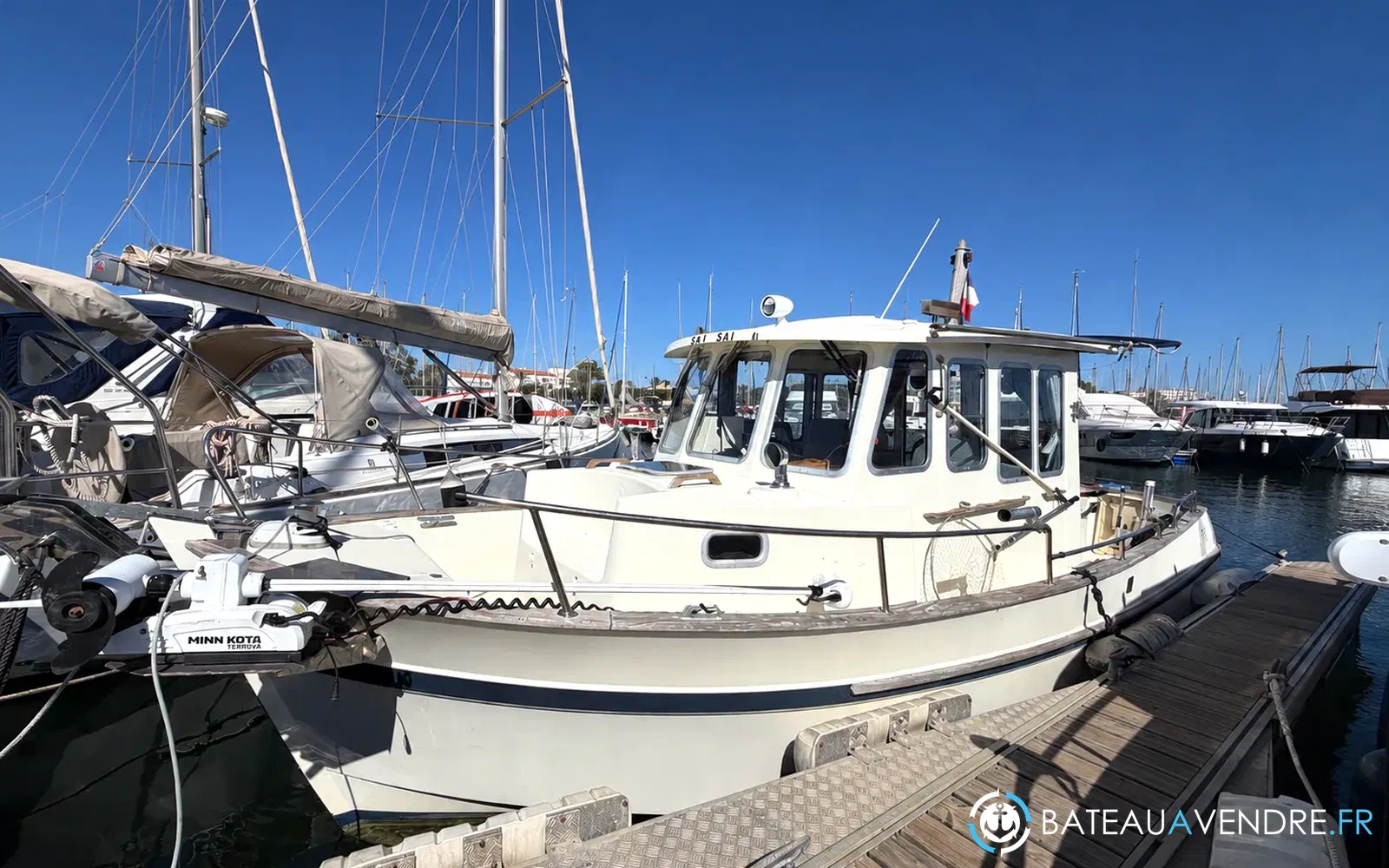 slider 1 Rhea 28 Timonier