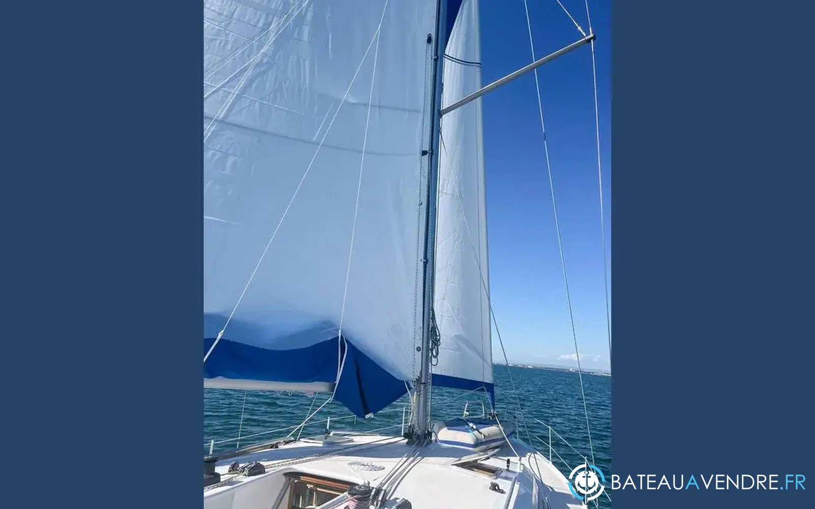 slider 1 Mintyachts Icemint 40