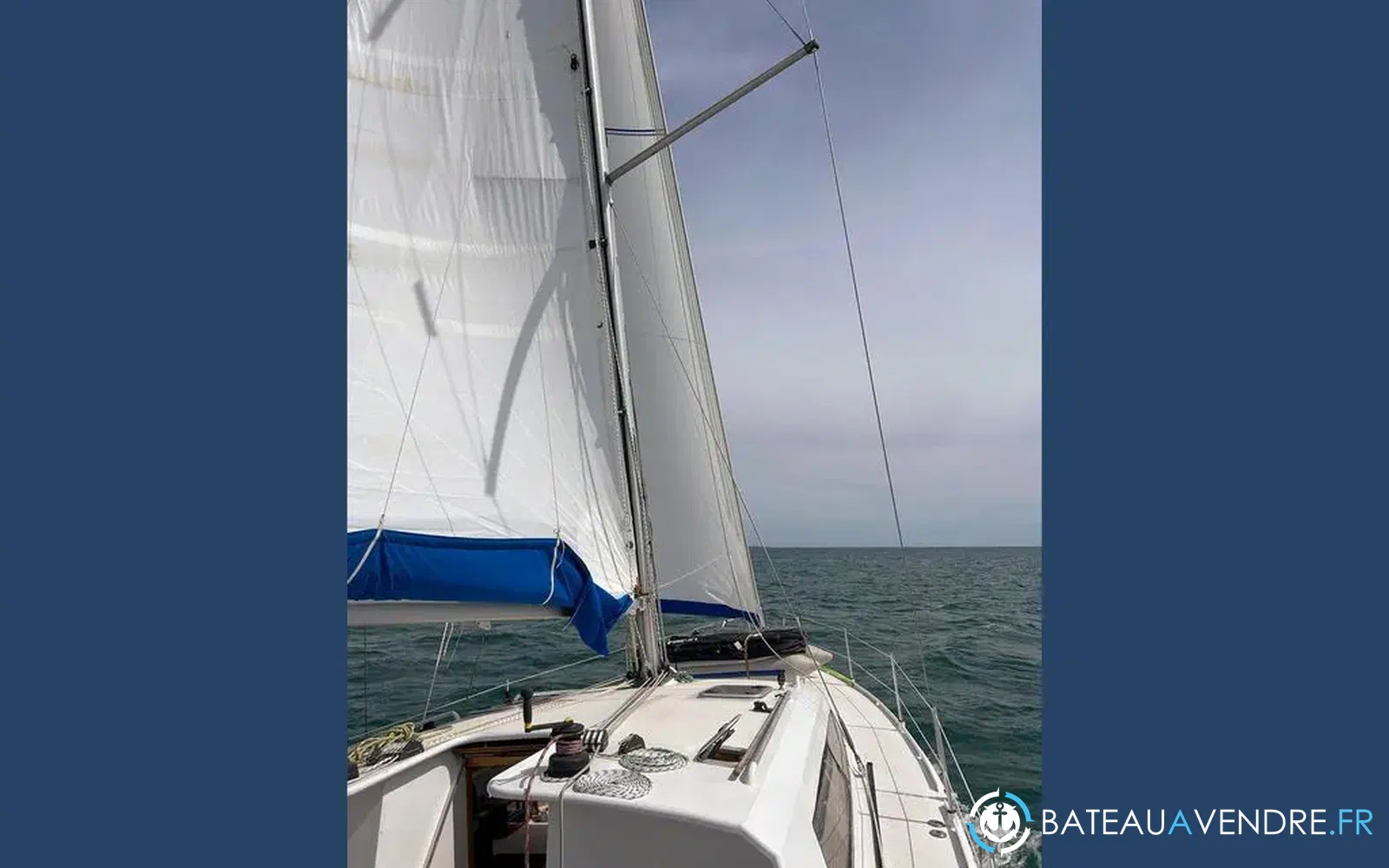 slider 3 Mintyachts Icemint 40