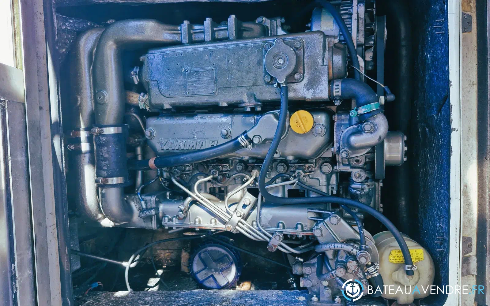 slider 9 Eider Marine Sea Rover 640