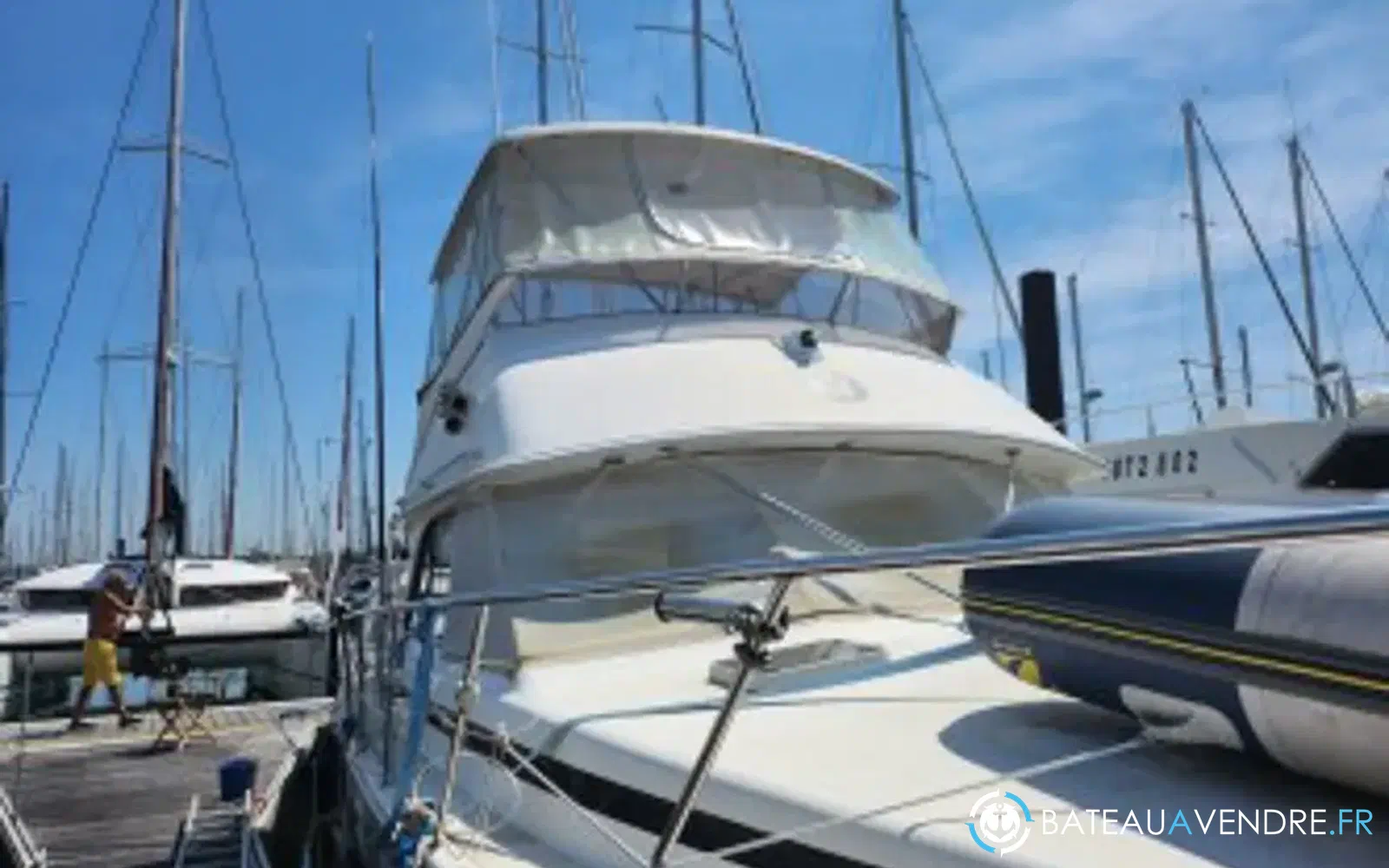 slider 0 Caribbean Fishing 40