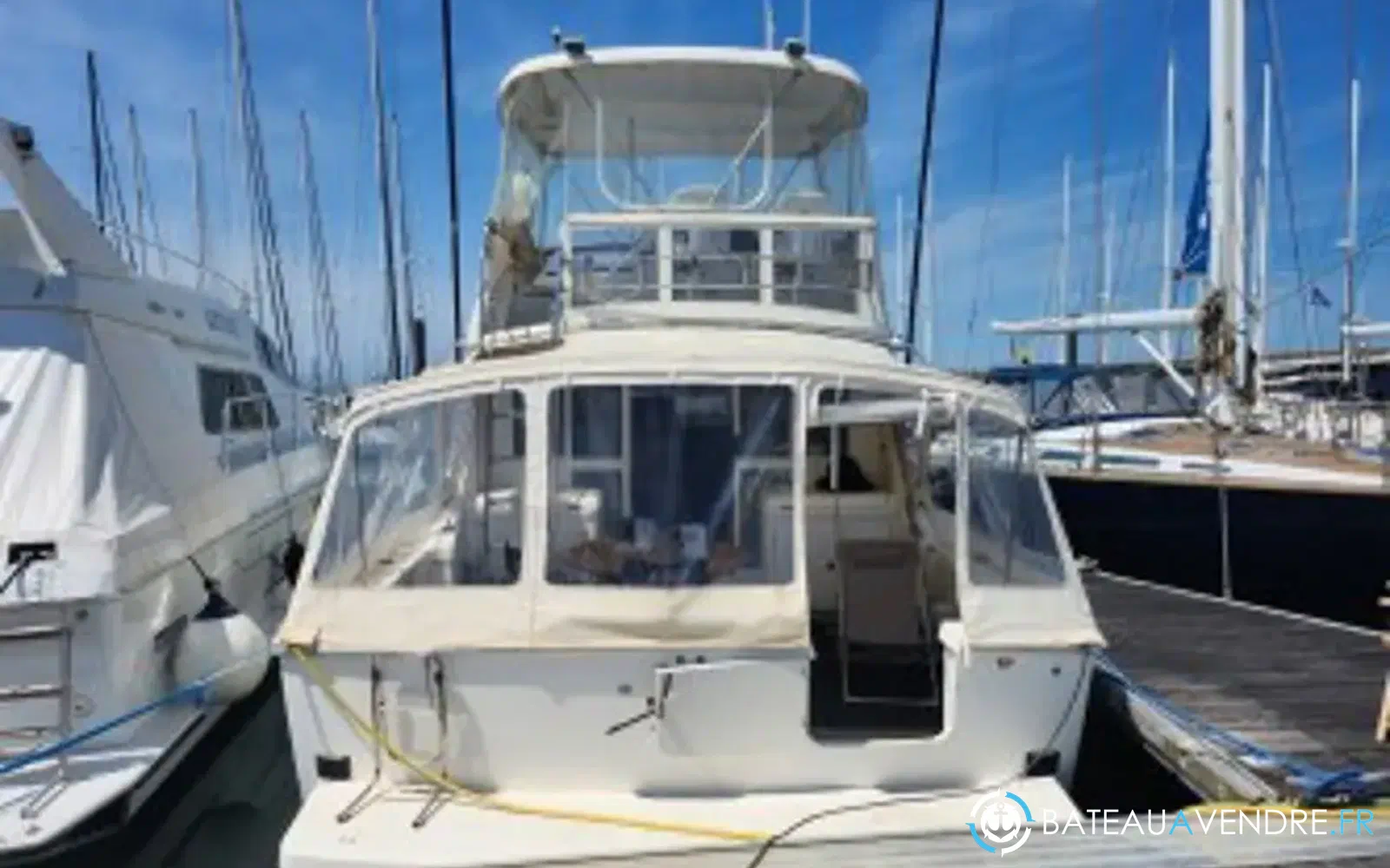 slider 1 Caribbean Fishing 40