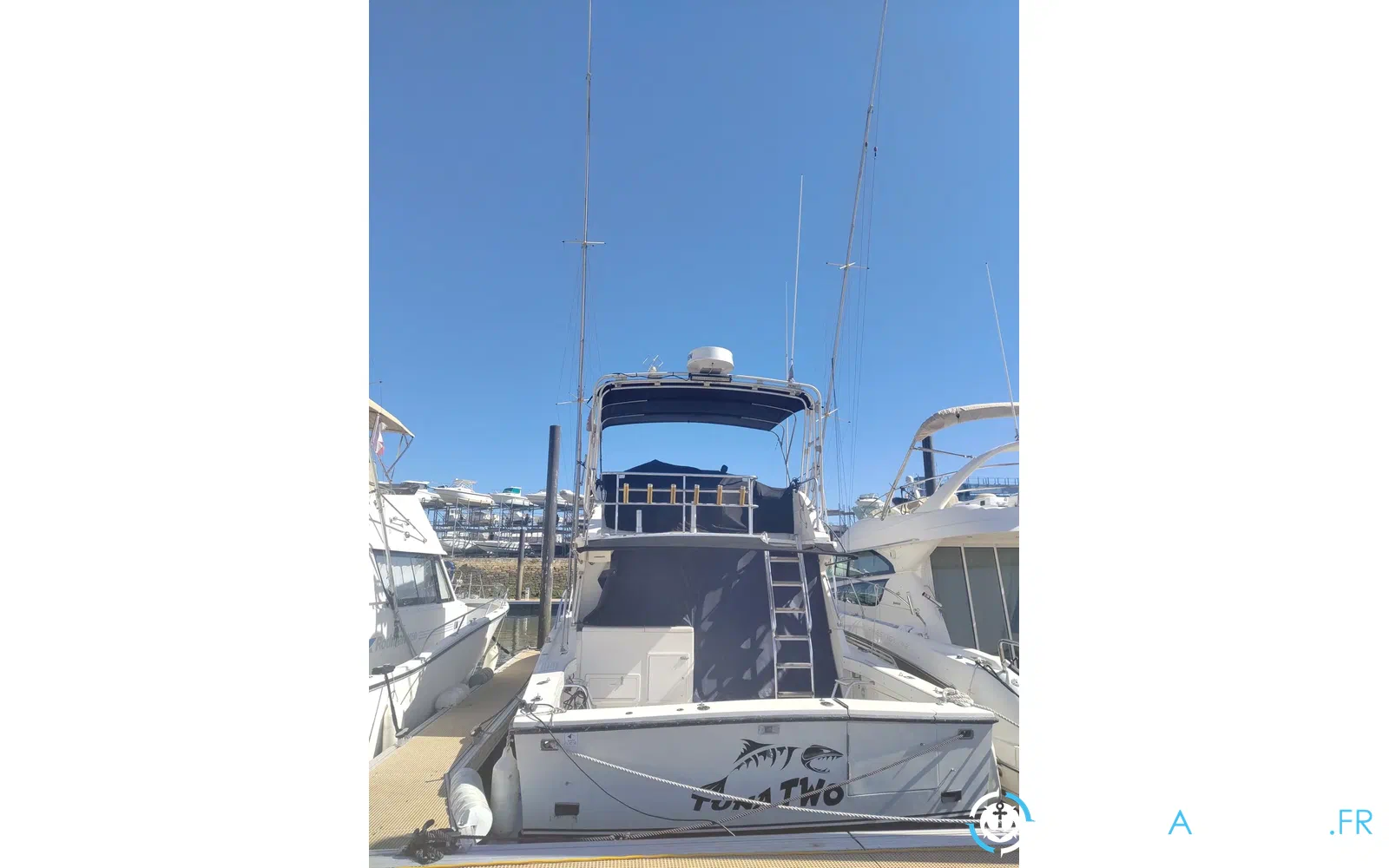 slider 4 Black Fin 38 Flybridge