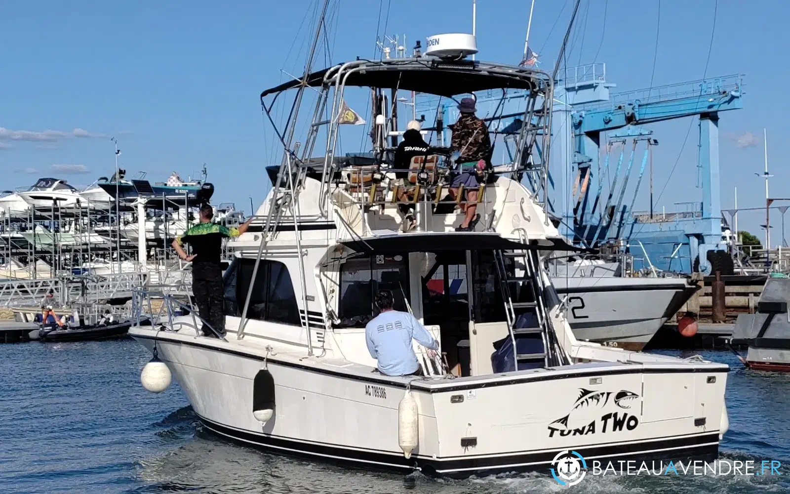 slider 2 Black Fin 38 Flybridge