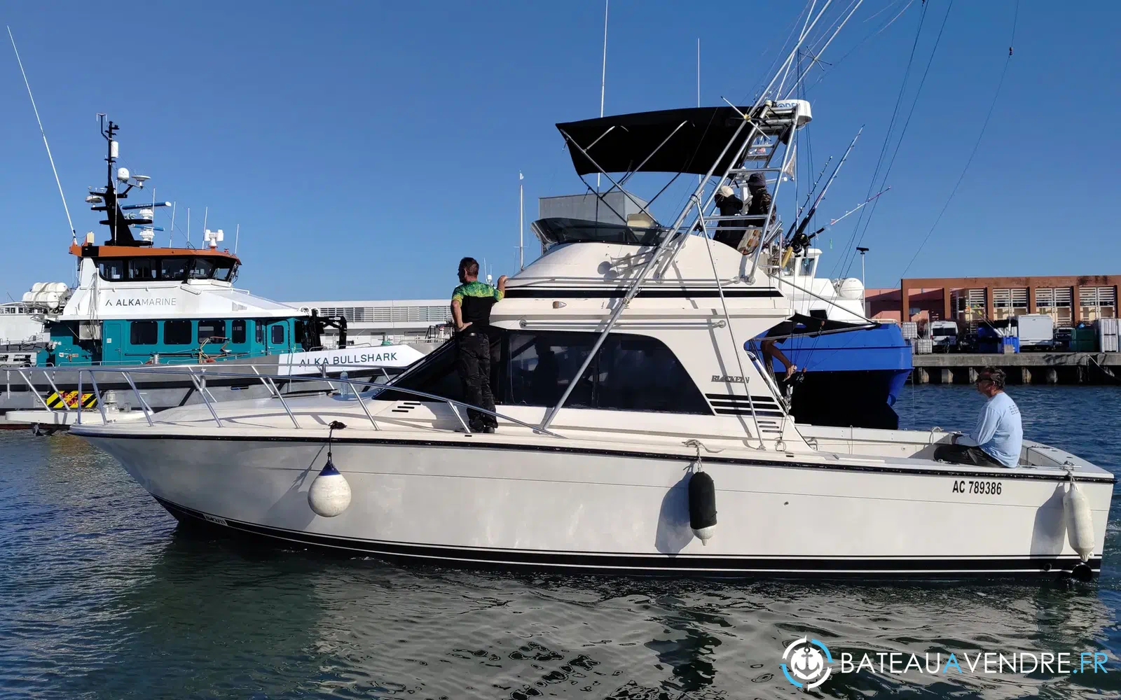 slider 3 Black Fin 38 Flybridge
