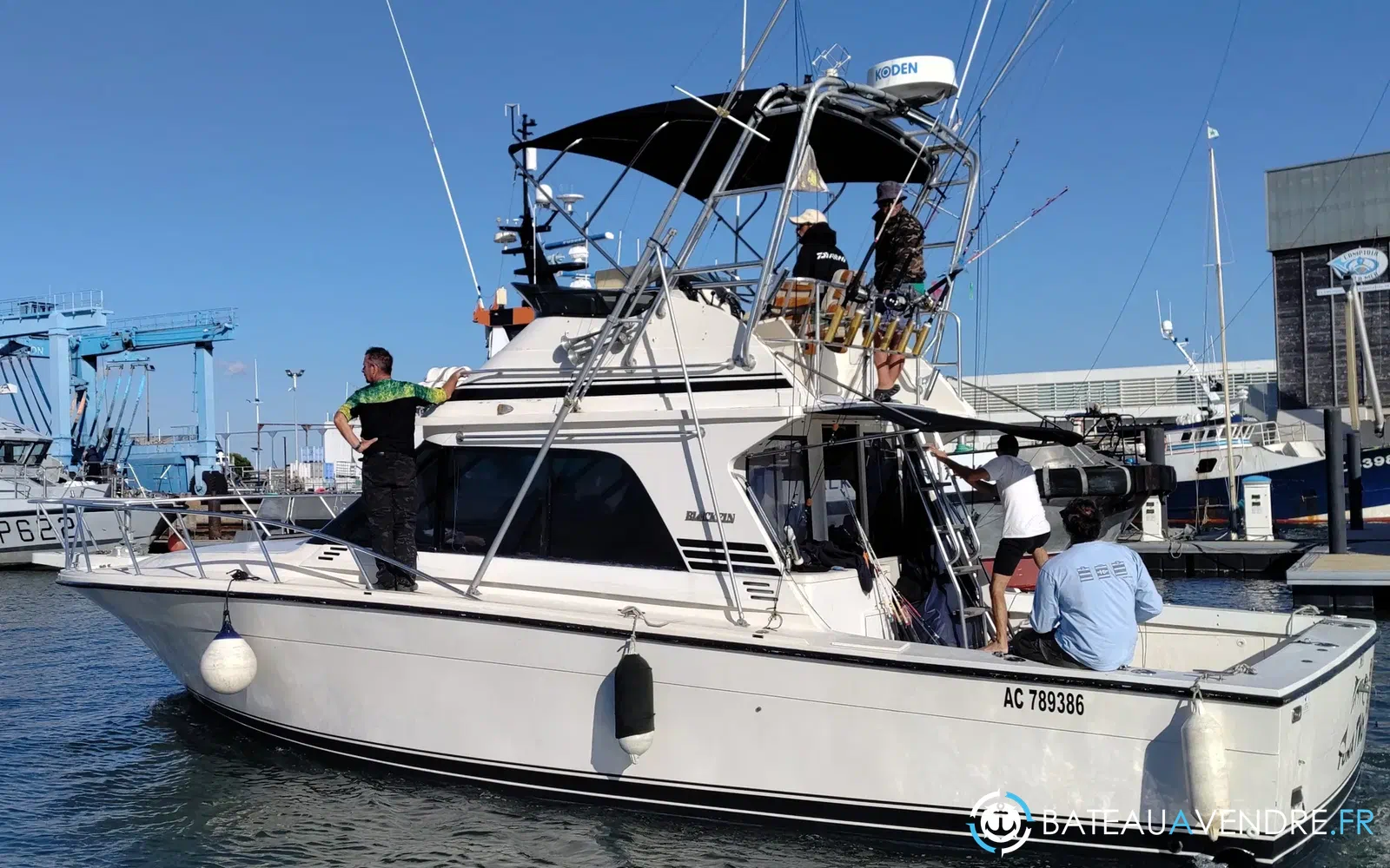 slider 1 Black Fin 38 Flybridge