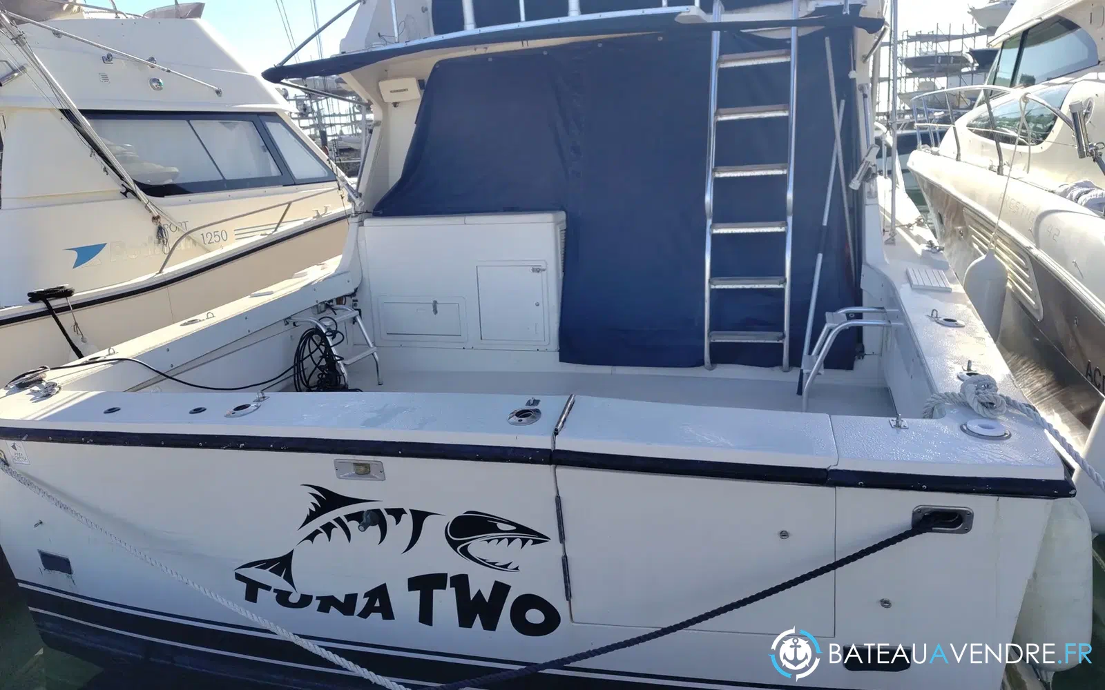 slider 6 Black Fin 38 Flybridge