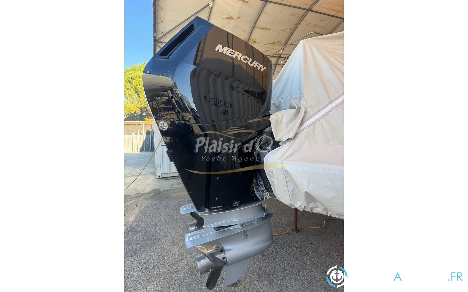 slider 50 Ribco Venom 39