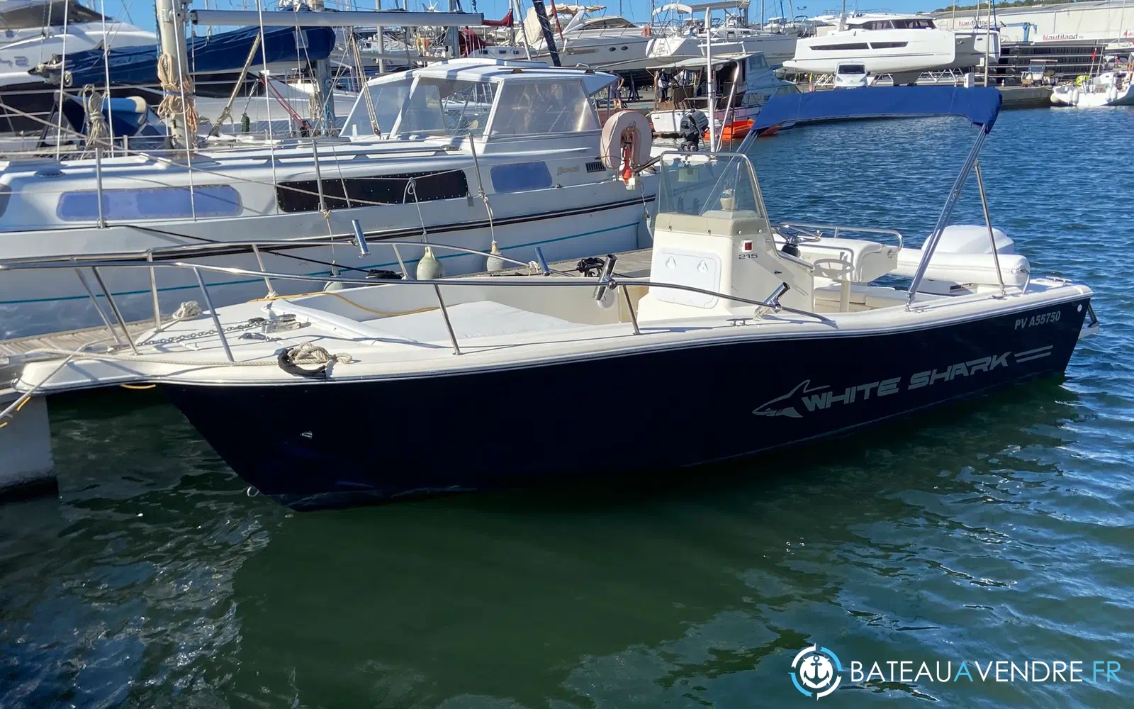 slider 1 Kelt White Shark 215