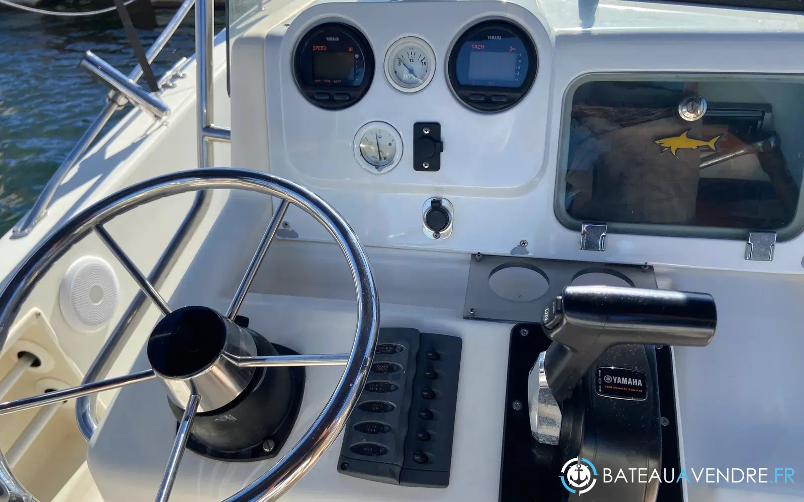 slider 7 Kelt White Shark 215