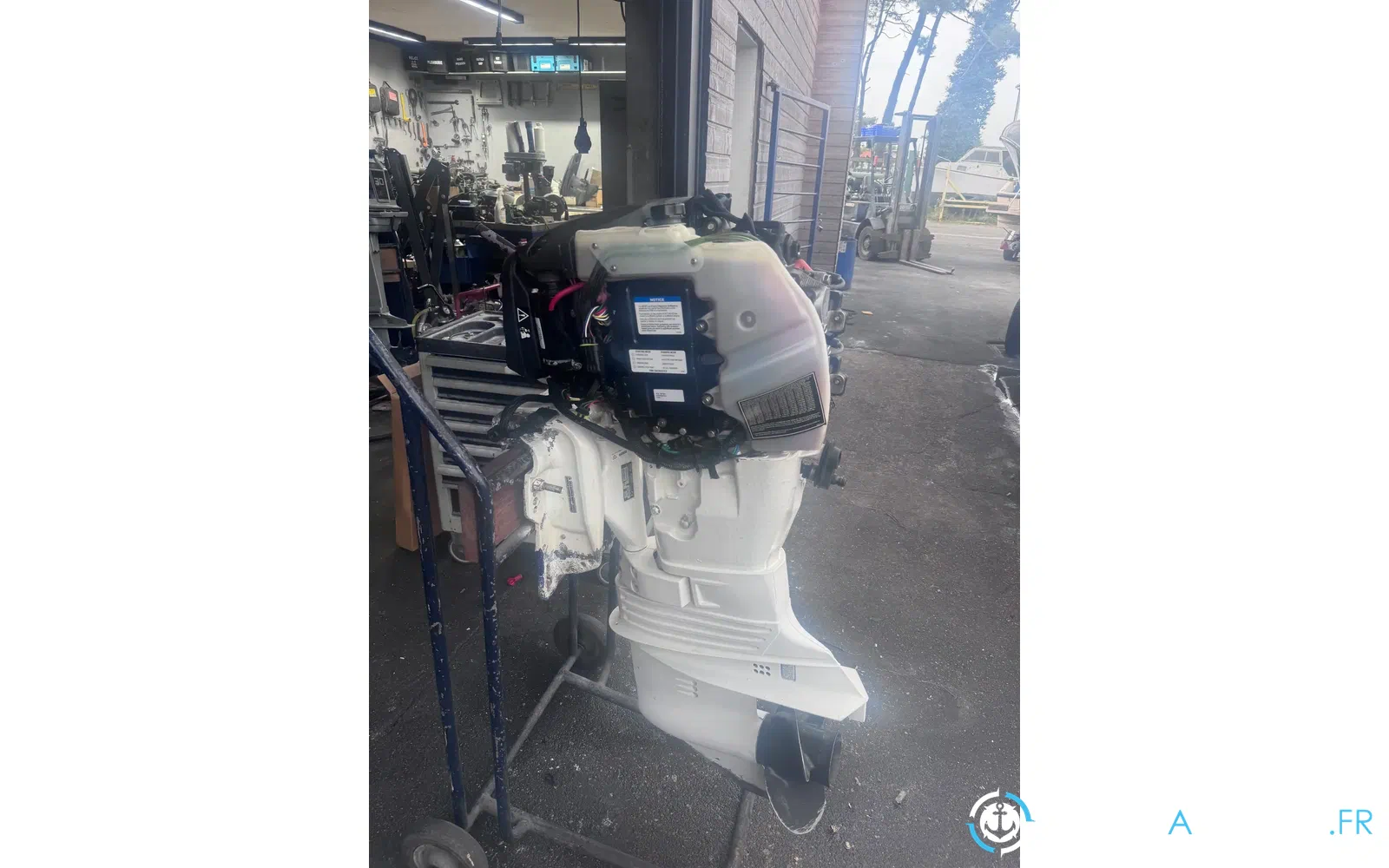 slider 3 EVINRUDE 50cv