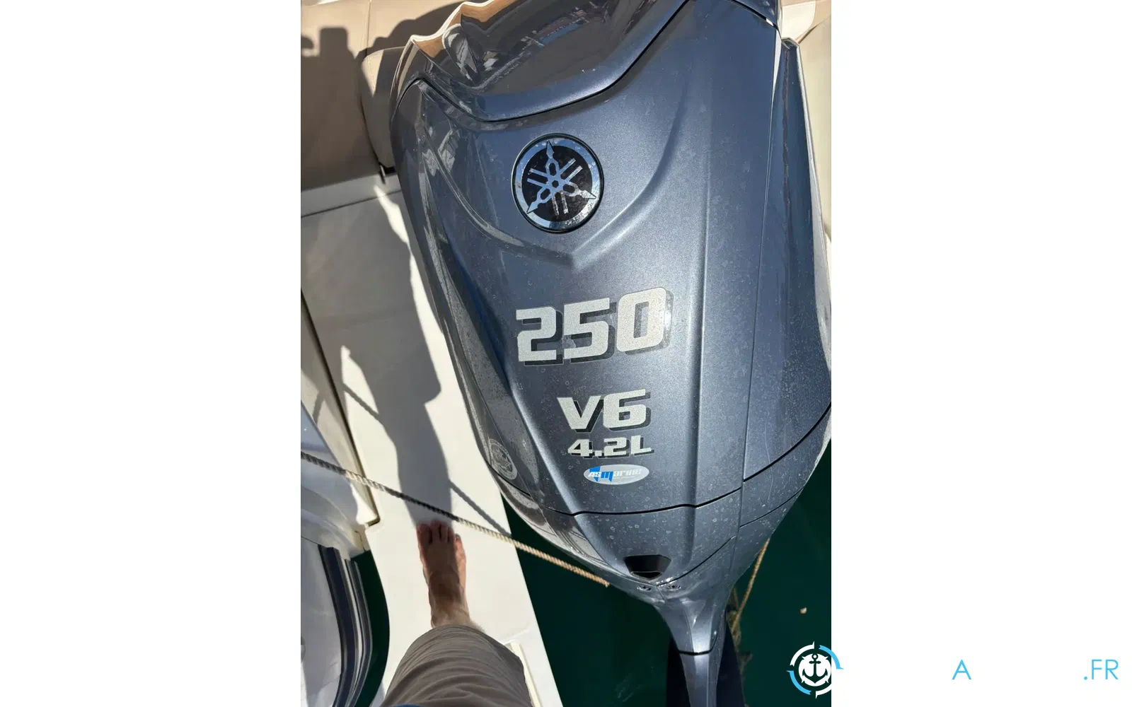 slider 21 Capelli Tempest 775
