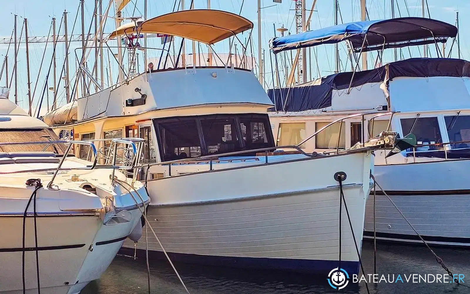 slider 1 Grand Banks 42 Europa