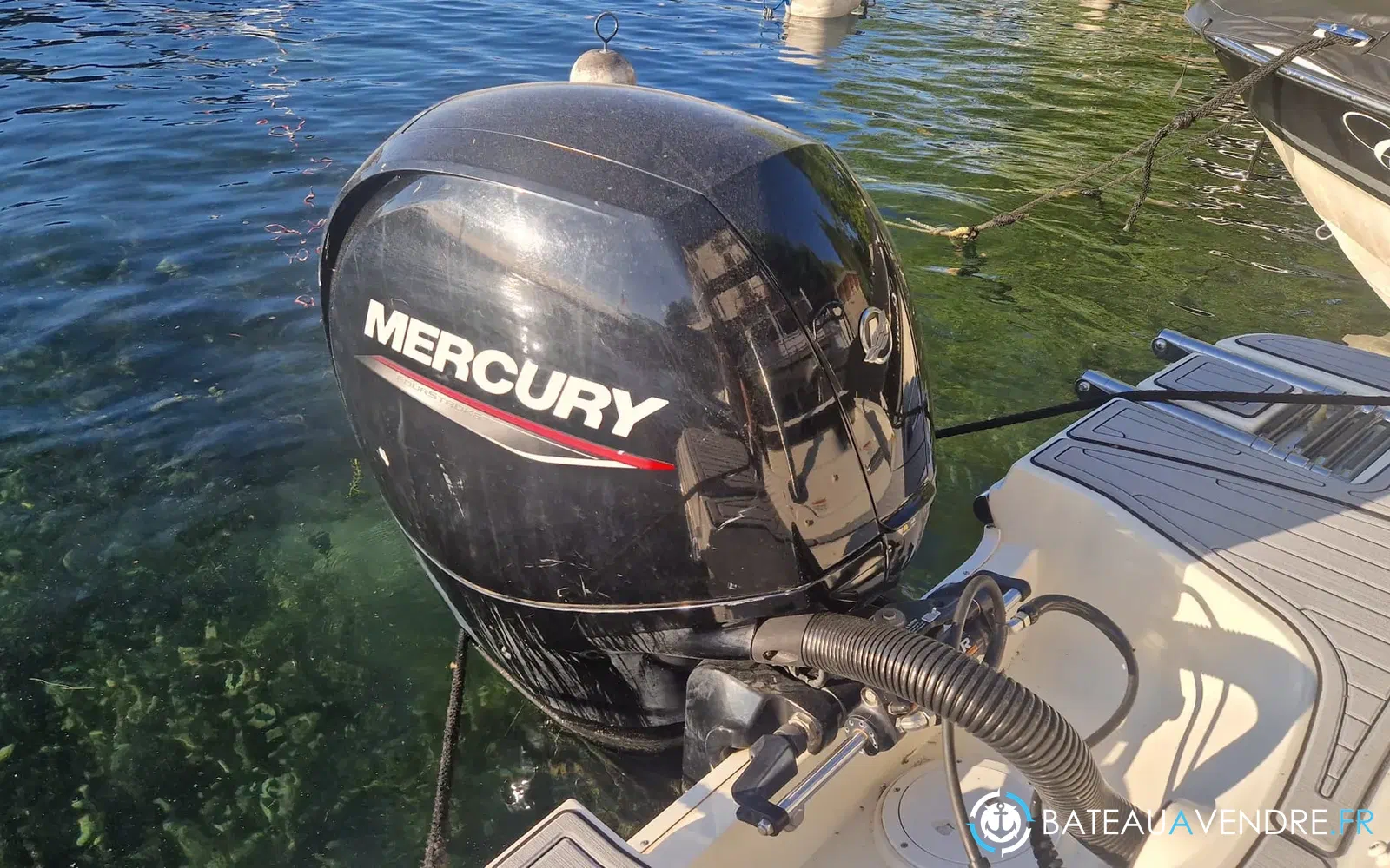 slider 8 Sea Ray SPX 190 + Place de port + Remorque double essieux