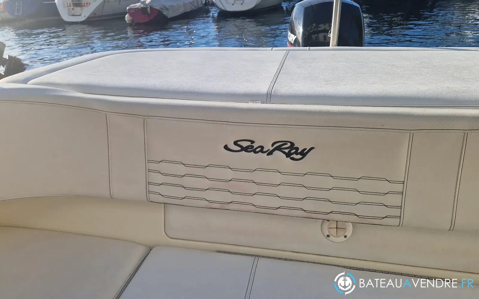slider 13 Sea Ray SPX 190 + Place de port + Remorque double essieux