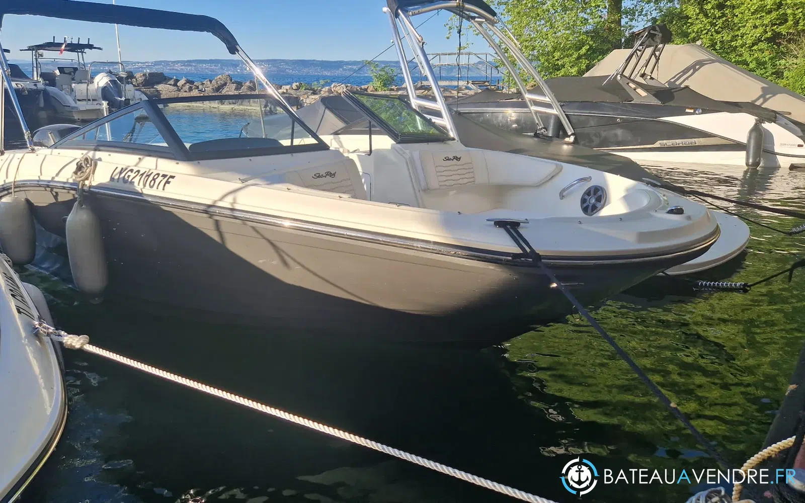 slider 4 Sea Ray Saa Ray 190 SPX + Place de port+ remorque double essieux OB