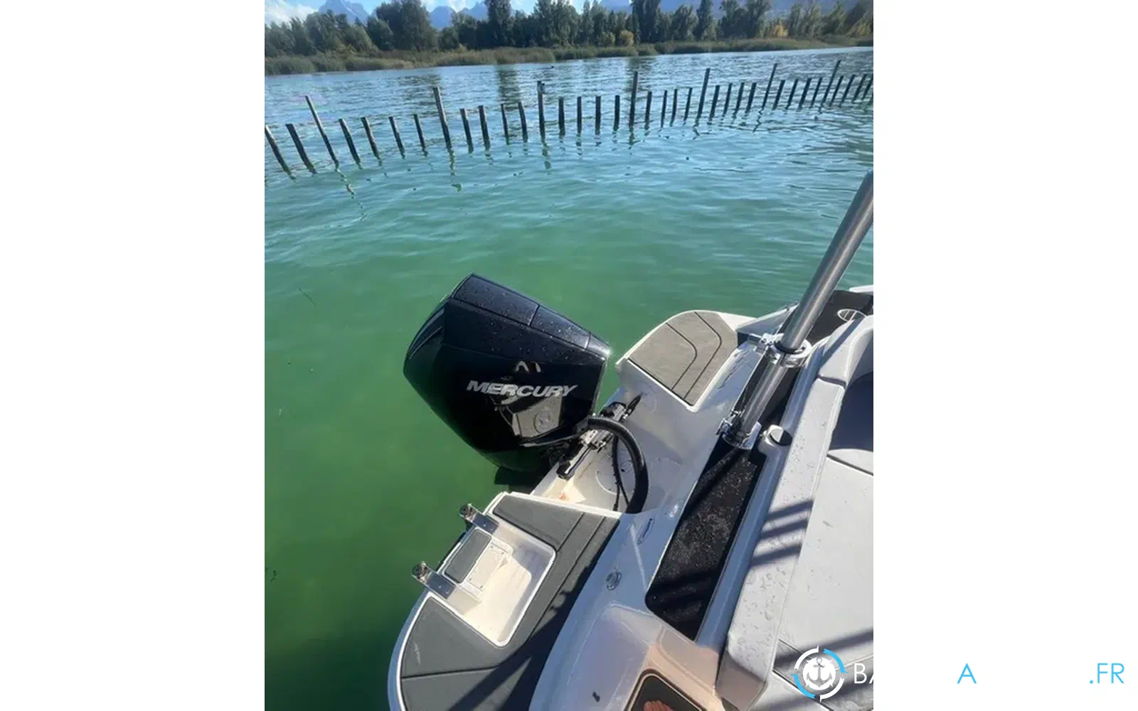 slider 8 Bayliner V20