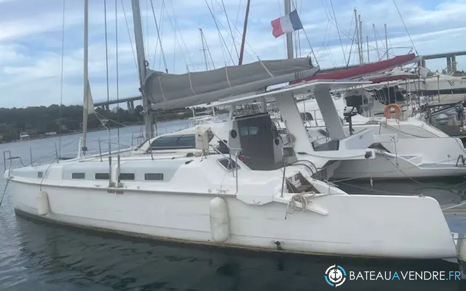 slider 4 Edel Cat 43