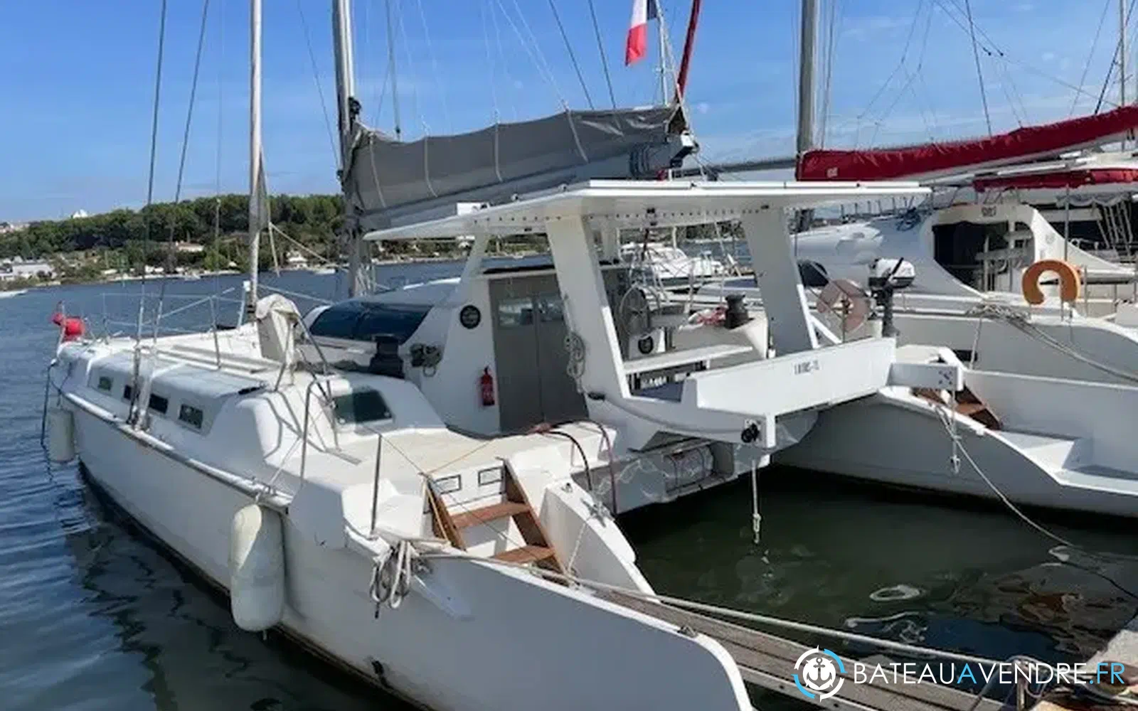 slider 6 Edel Cat 43