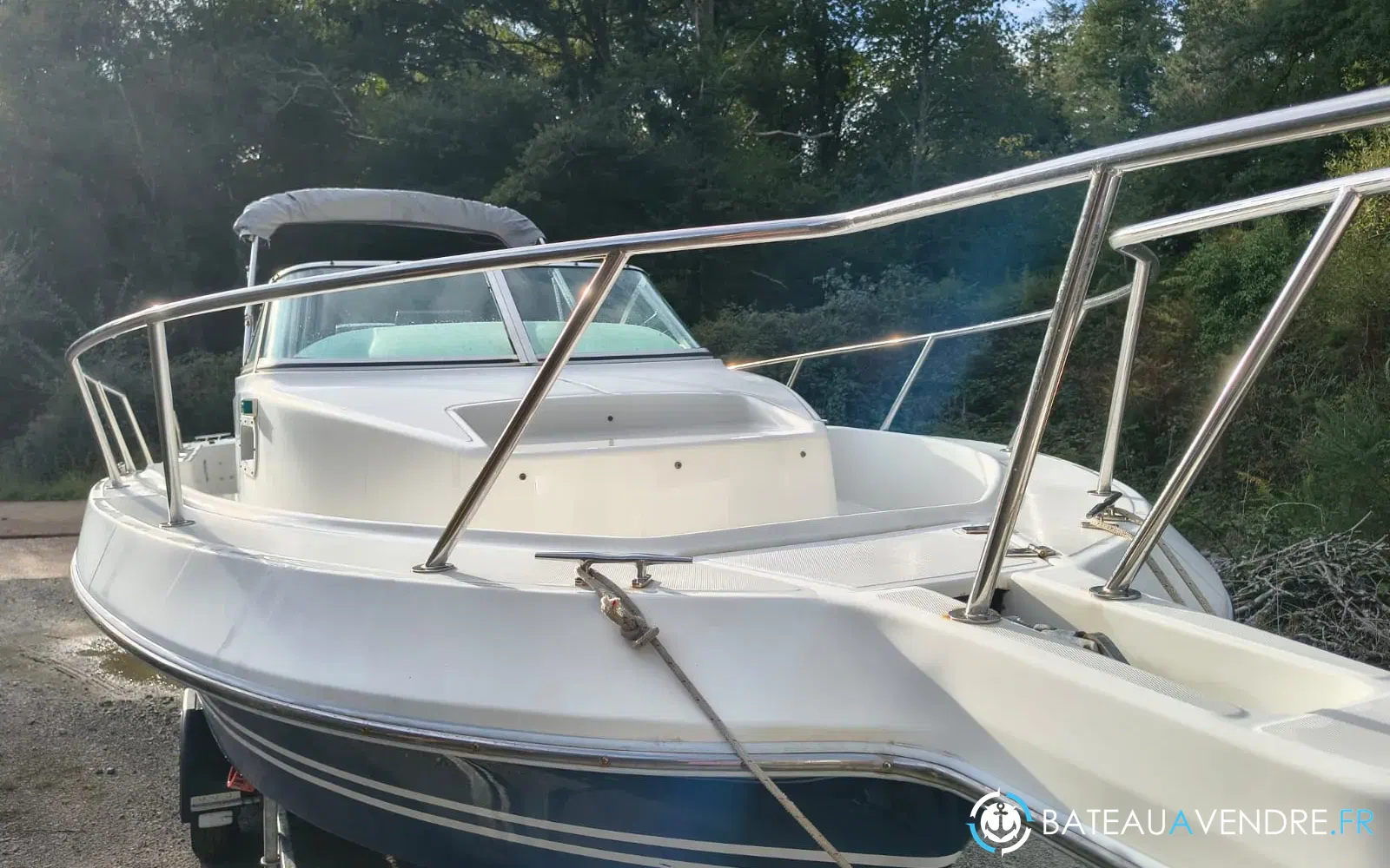 slider 9 Kelt White Shark 236