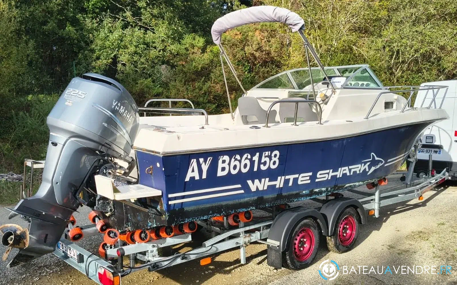 slider 0 Kelt White Shark 236