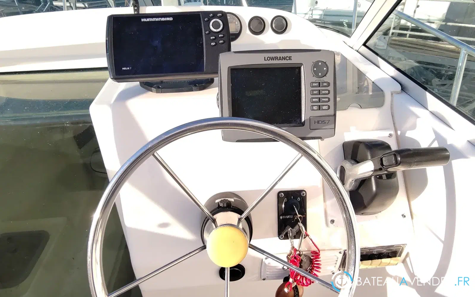 slider 14 Kelt White Shark 236