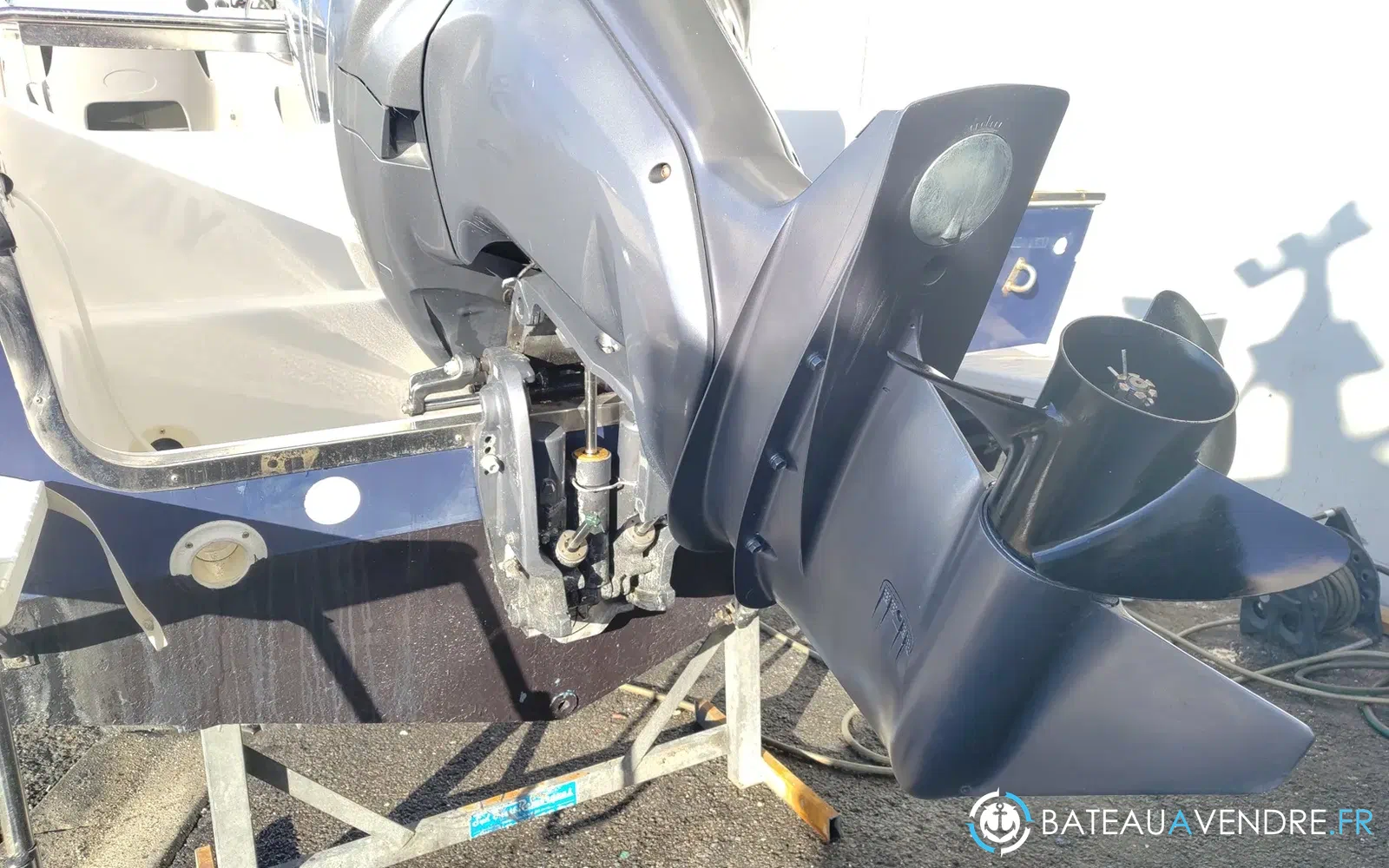 slider 7 Kelt White Shark 236