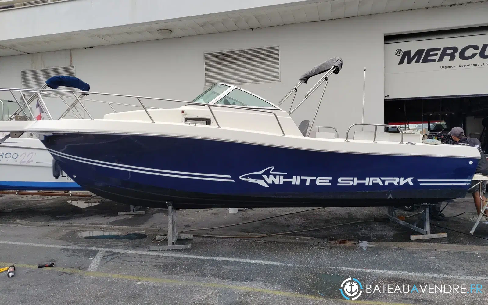 slider 2 Kelt White Shark 236