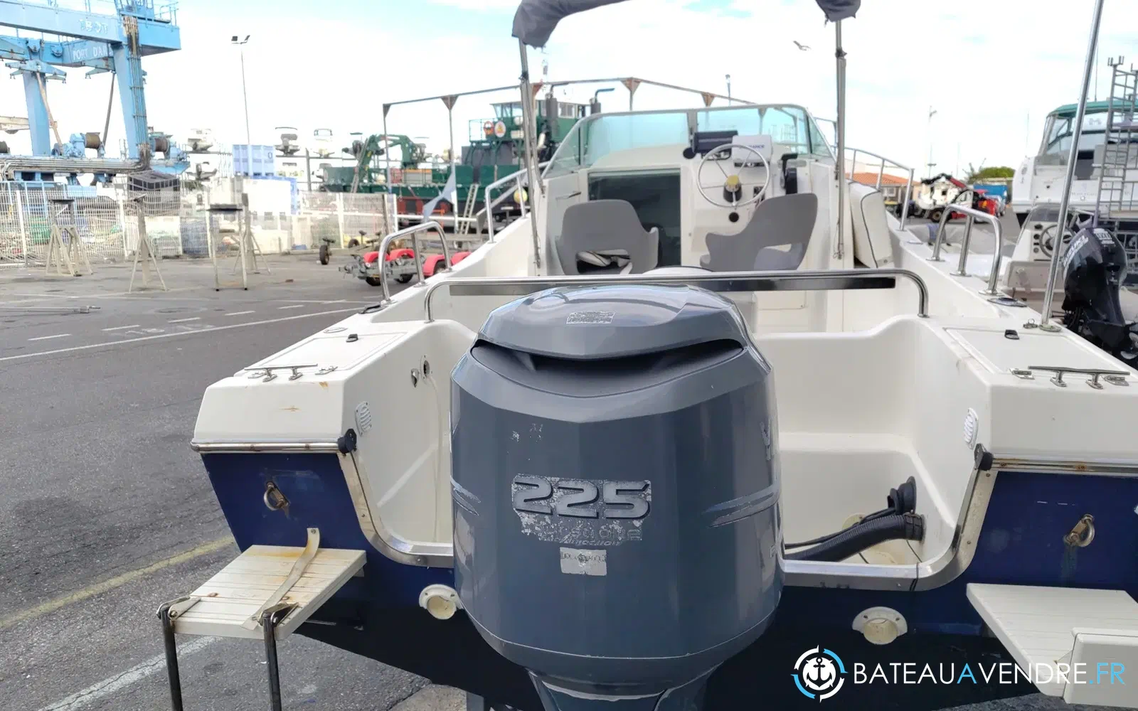 slider 8 Kelt White Shark 236
