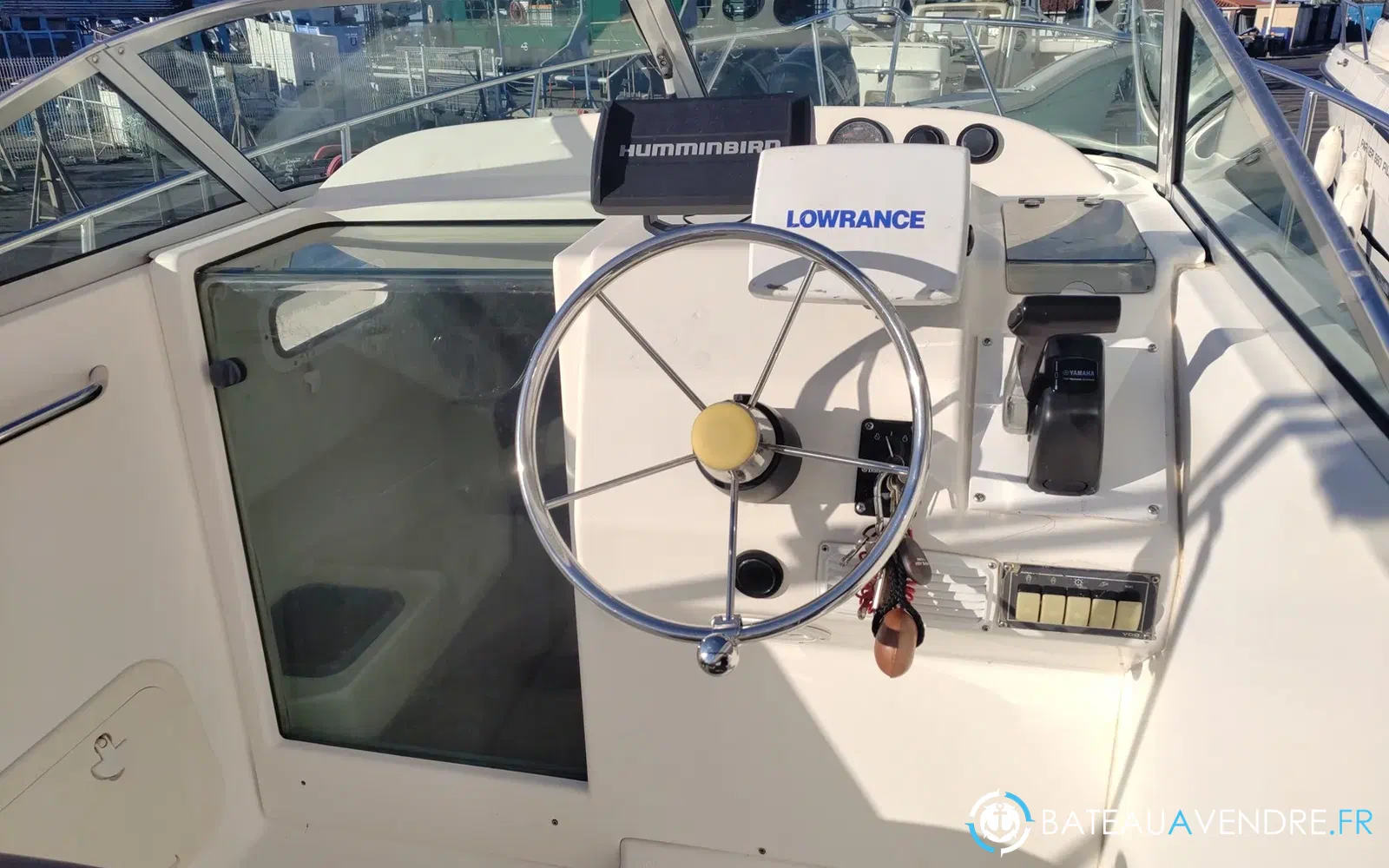 slider 13 Kelt White Shark 236