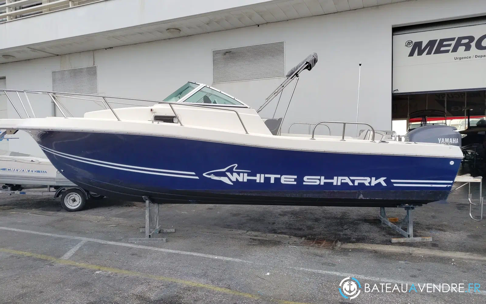 slider 1 Kelt White Shark 236