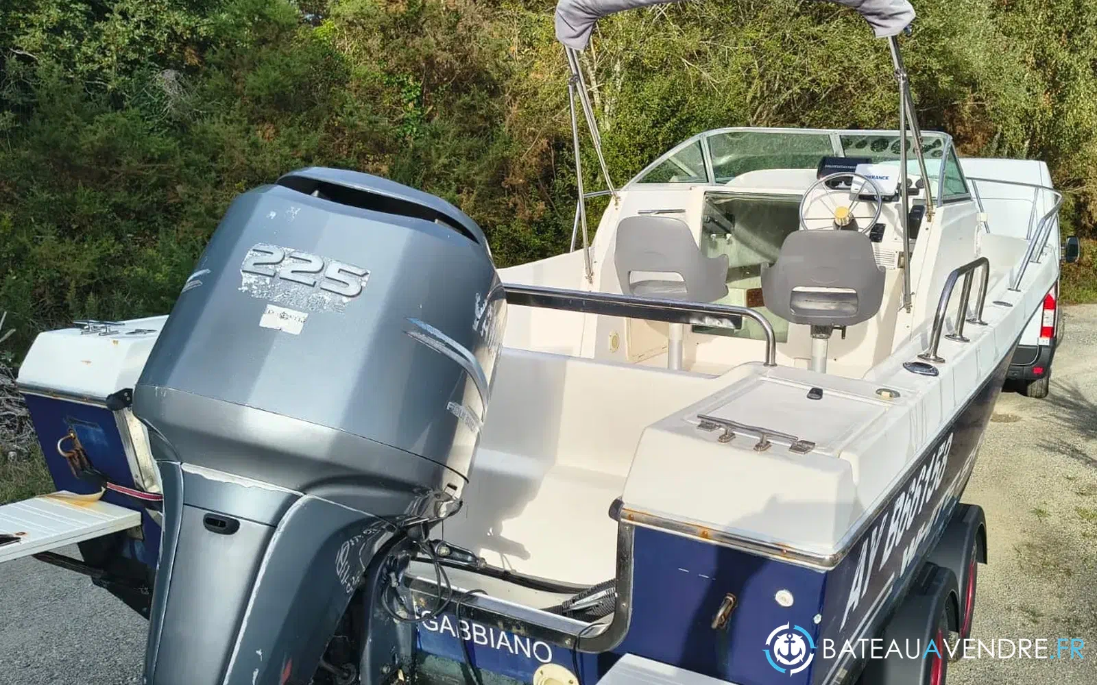 slider 1 Kelt White Shark 236