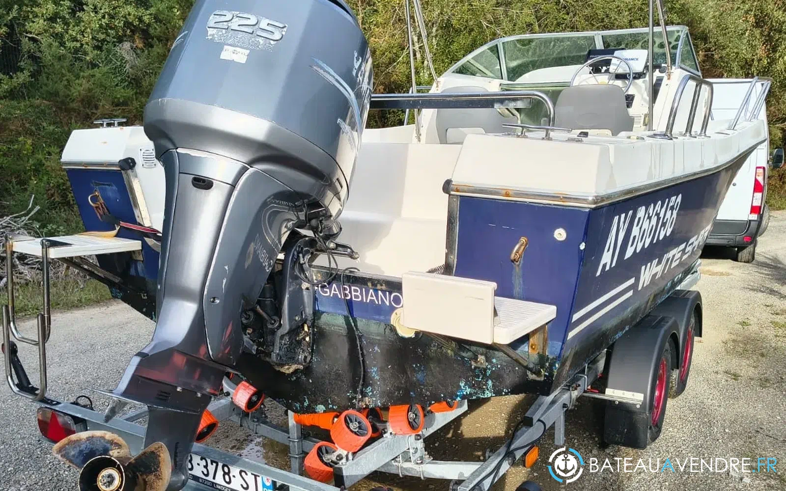 slider 5 Kelt White Shark 236