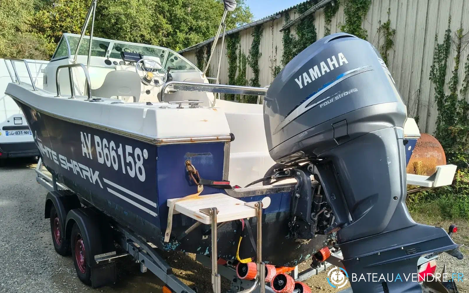 slider 6 Kelt White Shark 236