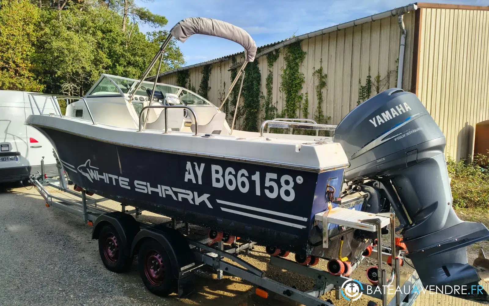 slider 7 Kelt White Shark 236