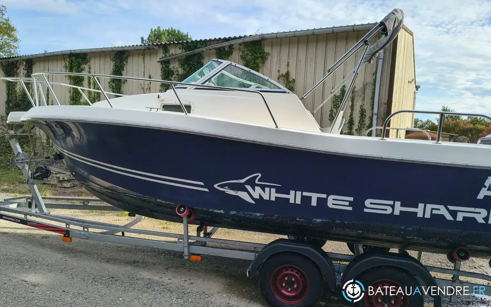 slider 8 Kelt White Shark 236