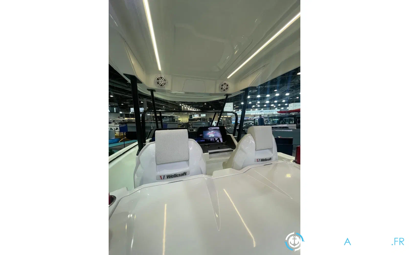 slider 19 Wellcraft 28 T-Top