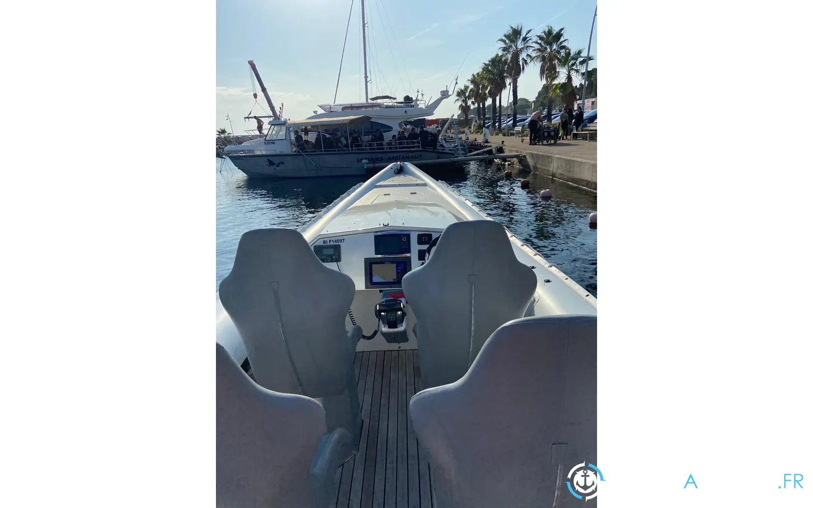 slider 1 Miss Cat Performance 1100 Raid